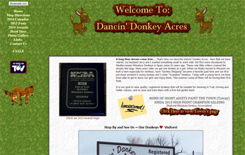 Dancin' Donkey Acres