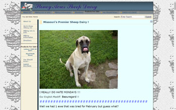 StoneyAcres.biz